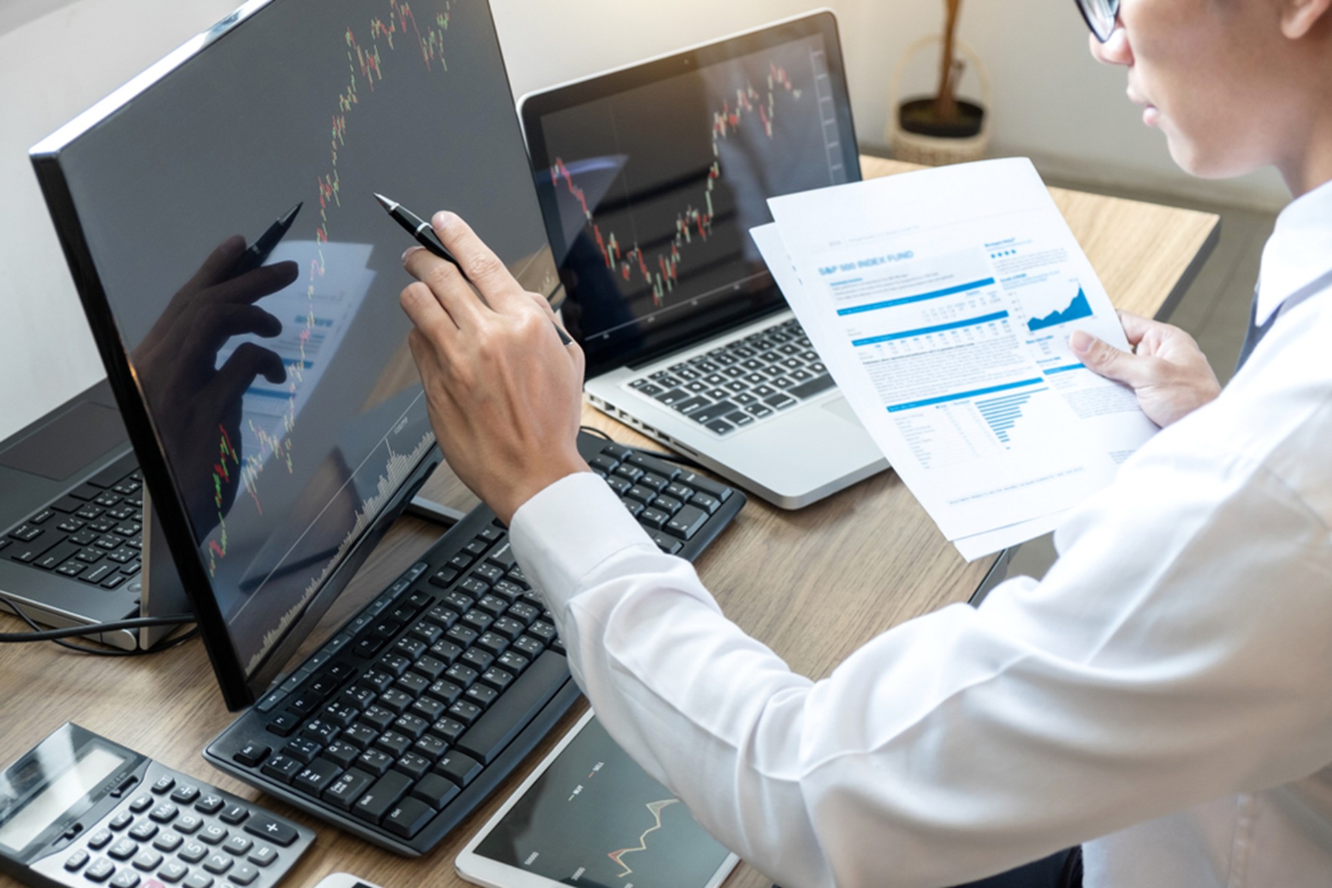 Imagen destacada de Go4Rex